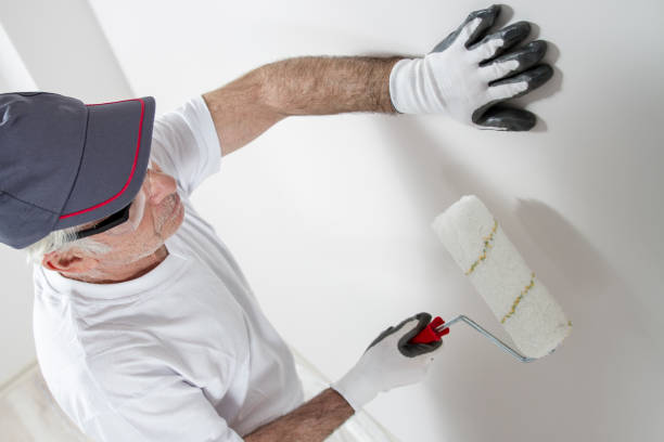 Best Environmental Consulting for Mold Prevention  in Hodgenville, KY