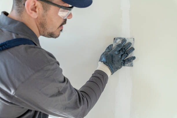 Best Post-Remediation Verification Testing  in Hodgenville, KY