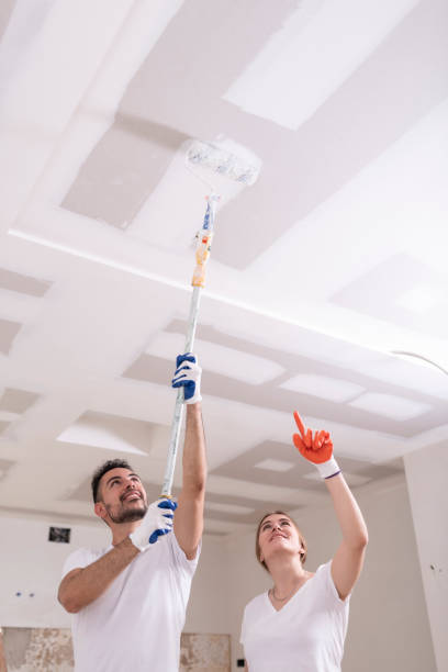 Best Comprehensive Air Testing for Mold Contaminants  in Hodgenville, KY