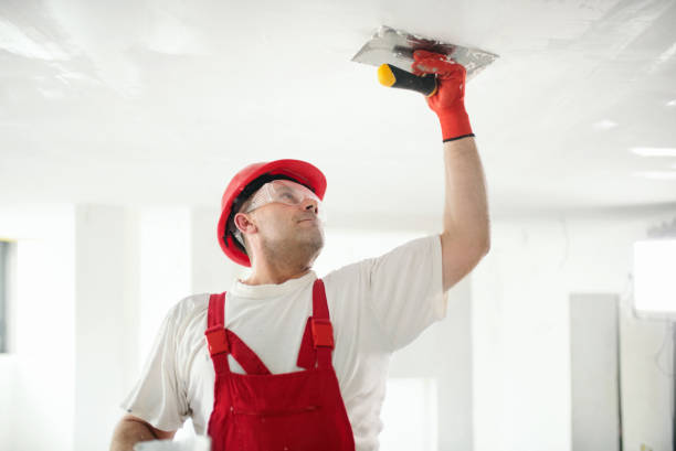 Best Post-Construction Mold Inspection  in Hodgenville, KY