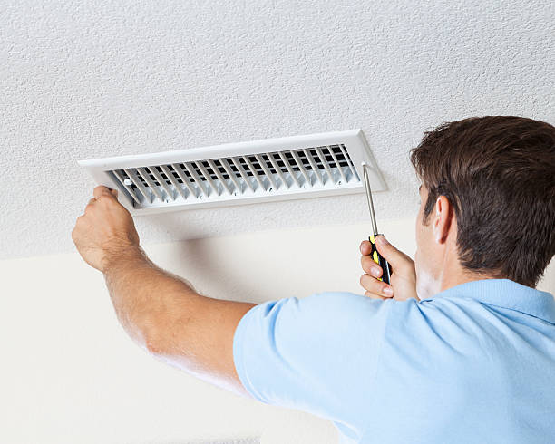 Best Biohazard Mold Removal  in Hodgenville, KY