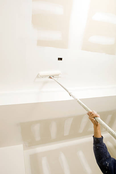 Best Mold Documentation for Insurance Claims  in Hodgenville, KY